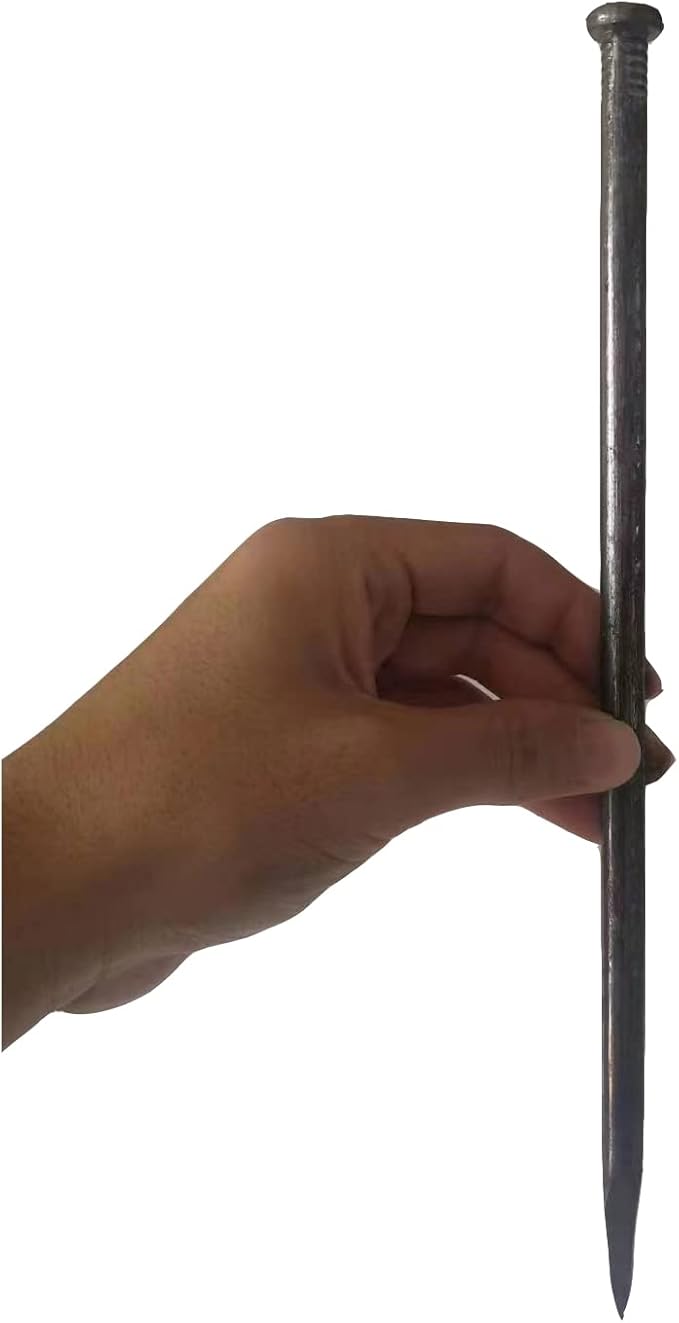 Metal Landscape Stakes,12Inch 25Pcs Landscape Edging Anchoring Spikes for Tent Spikes,Paver Edging,Artificial Turf Stakes,Tent and More (25)