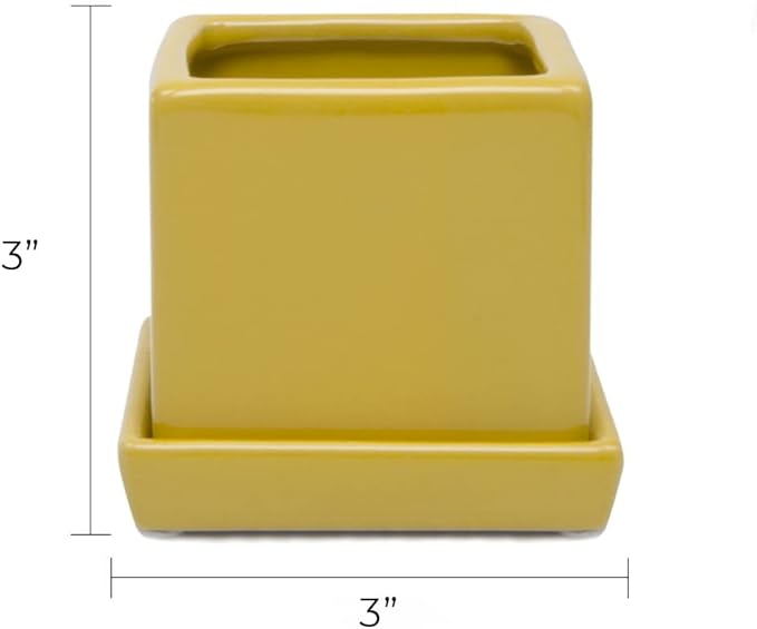 CHIVE - 3 Piece Set Square Succulent Cactus Planter Pot, 3 Inch Ceramic Flower Plant Container, Drainage Hole/Saucer, Mini Pot Indoor/Outdoor Garden (Goldenrod)