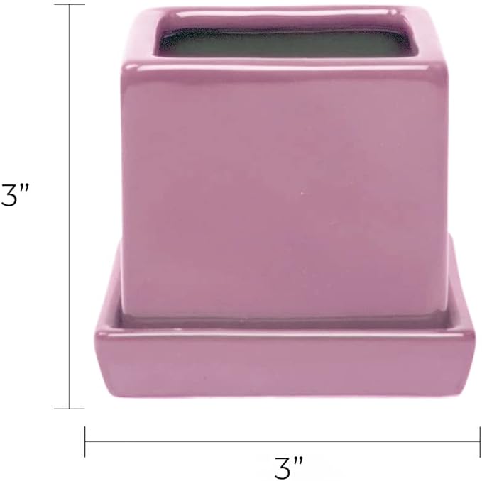 CHIVE - 3 Piece Set Square Succulent Cactus Planter Pot, 3 Inch Ceramic Flower Plant Container, Drainage Hole/Saucer, Mini Pot Indoor/Outdoor Garden (Pink)