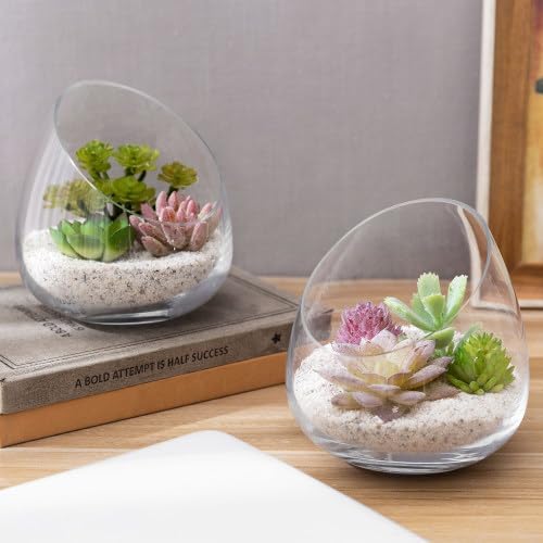MyGift 5 Inch Premium Clear Glass Air Plant Terrarium, Tealight Candle Holder, Succulent Cactus Plant Vase, Set of 4