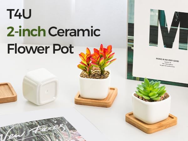 T4U 2 Inch Mini White Square Succulent Pots with Bamboo Trays, Mini Ceramic Planters for Tiny Cactus, Air Plants, Faux Plants – Gift for Plant Lovers, Desk & Home Decor (12 Pack)