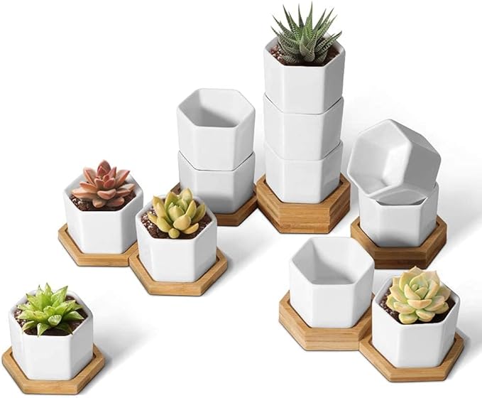 T4U Mini White Succulent Planter Pots with Bamboo Tray Hexagon Set of 12,Tiny Geometric Ceramic Cactus Plant Holder, Plant Gifts for Gardener Women Coworker, Home Office Table Desk Decoration