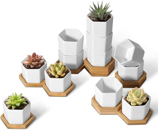 T4U Mini White Succulent Planter Pots with Bamboo Tray Hexagon Set of 12,Tiny Geometric Ceramic Cactus Plant Holder, Plant Gifts for Gardener Women Coworker, Home Office Table Desk Decoration