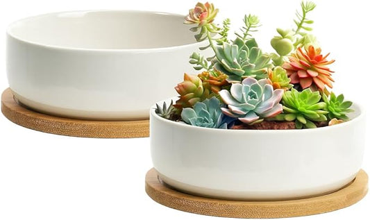 ZOUTOG Plant Pot 6 Inch,Ceramic Succulent Pots for Flower with Drainage and Tray,Succulent Planters for Indoor Plants White Round with Home,Office,Pack of 2