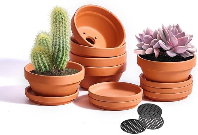 5 Inch Shallow Terracotta Pot for Succulent - 6 Pcs Small Shallow Plant Pots with Drainage Hole and Saucer, Clay Plant Pottery Pots for Cactus Succulent and Other Indoor Outdoor Plants