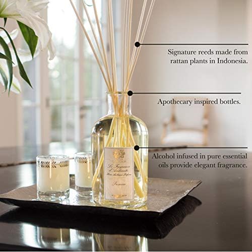 Antica Farmacista Home Ambiance Diffuser, Lush Palm, 3.4 Fl Oz