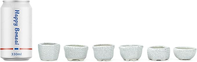 Bonsai Planter 1.8 inch (4.5cm) Mini Succulent Glazed Pots Set of 6 Gray White