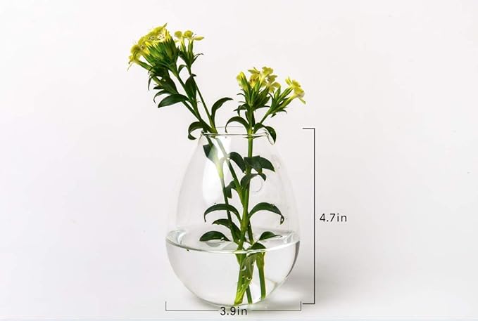 Kingbuy Wall Hanging Propagation Station Glass Plant Terrarium Container Egg Shape for Propagating Hydroponic Plants Home Office Garden Decor Wedding, 4 Pack