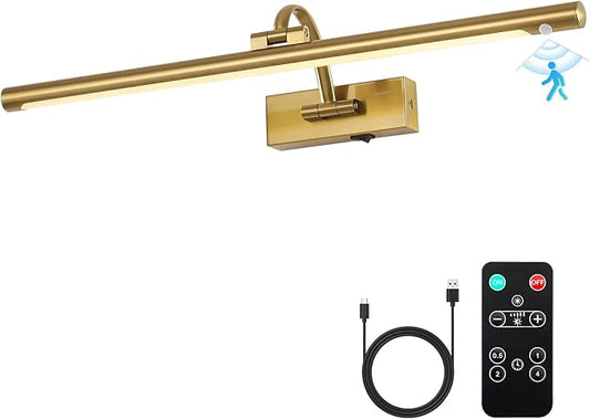 Wireless Brass Picture Lights for Wall Motion Activated, Motion Sensor Art Lights Auto-Off Gallery Lights for Portraits Display 24 Inch 5W Warm White