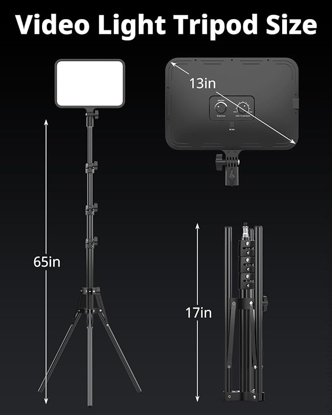 UBeesize 2 Pack LED Video Light Kit, Photography Lighting, 13" Studio Lights with 65" Tripod Stand and Phone Holders, Podcast Lighting for Video Recording,Tiktok,YouTube