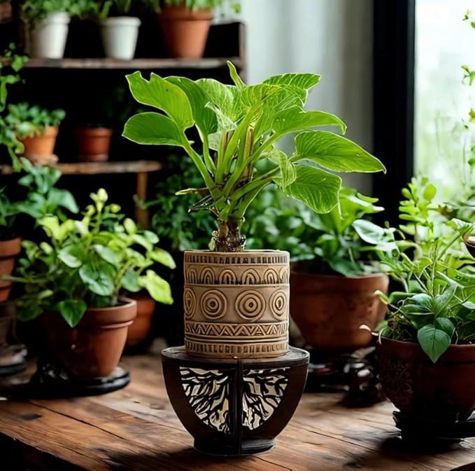 Indoor Wooden Plant Stand Holder for Sill, Desktop, - Single Flower Pot Rack for Small Plants - Unique Tree Root Design Elevate Your Plants in Style and Provide Additional Sunlight