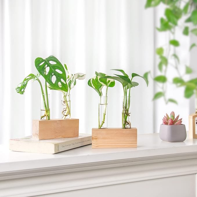 Ivolador Propagation Stations Double Test Tube Plants Terrariums in Wooden Stand Propagation Station for Hydroponic Plants Office Home Decoration