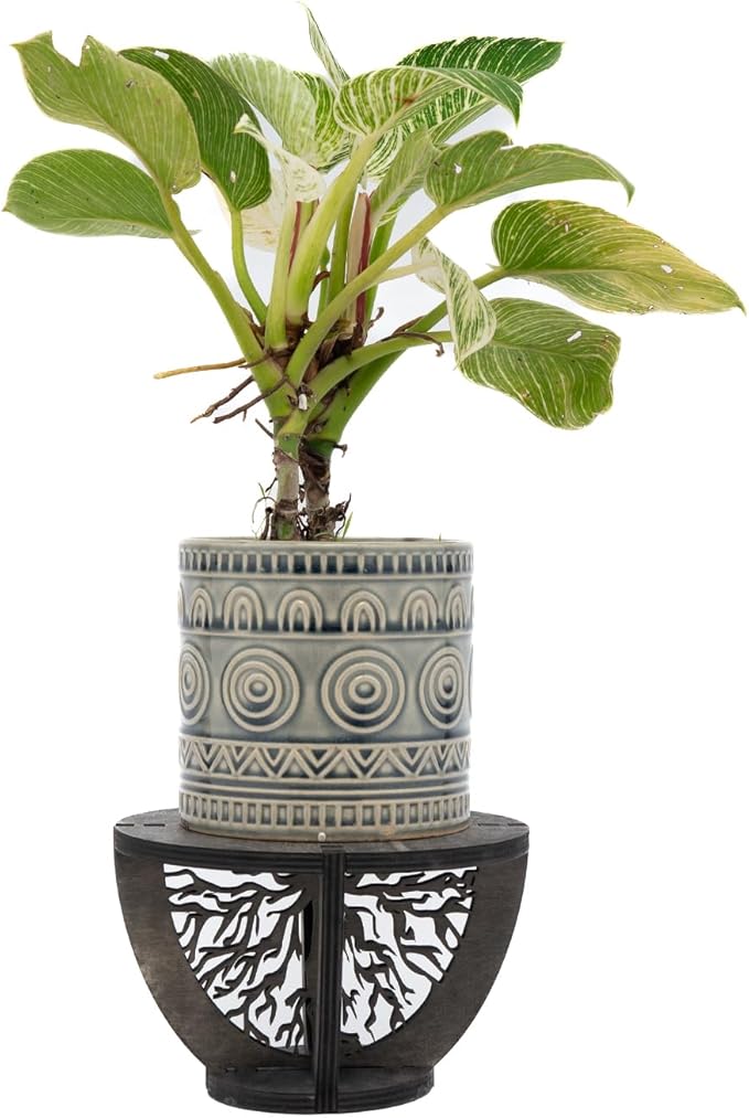Indoor Wooden Plant Stand Holder for Sill, Desktop, - Single Flower Pot Rack for Small Plants - Unique Tree Root Design Elevate Your Plants in Style and Provide Additional Sunlight