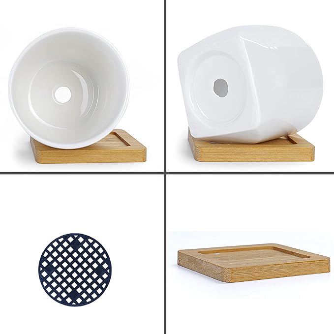 ARTKETTY Succulent Pots - 3 Inch Small Succulent Planter Pot with Drainage Trays Set of 6, Ceramic Planters for Indoor Plants Cactus Flower Plant for Home Office