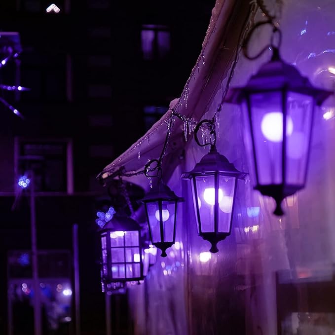 10 Pack Gel Light Filter- Colored Overlays Correction Lighting Filters,Transparent Color Film Plastic Sheets for Halloween Landscape Led Light or Reading (Purple)