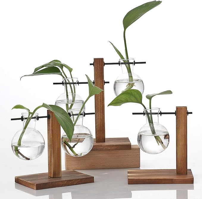 Kingbuy Glass Planter Bulb Vase Desktop Plant Terrarium with Retro Solid Wooden Stand for Propagation Hydroponics Water Plants Home Garden Office Decor