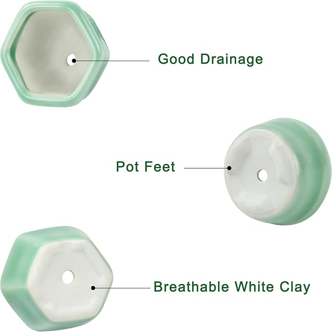 Bonsai Planter 1.8 inch (4.5cm) Mini Succulent Glazed Pots Set of 18 Green