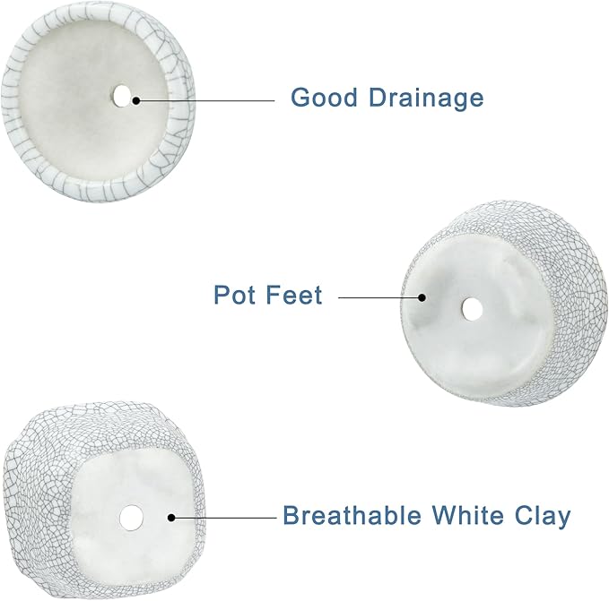 Bonsai Planter 1.8 inch (4.5cm) Mini Succulent Glazed Pots Set of 6 Gray White