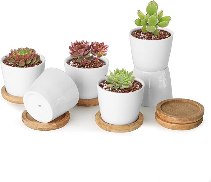 T4U 2.5 Inch Mini White Succulent Planter Pots with Bamboo Tray Round Set of 6, Tiny Ceramic Succulent Air Plant Flower Pots Cactus Faux Plants Containers, Gifts for Plant Lover, Home and Office Decor