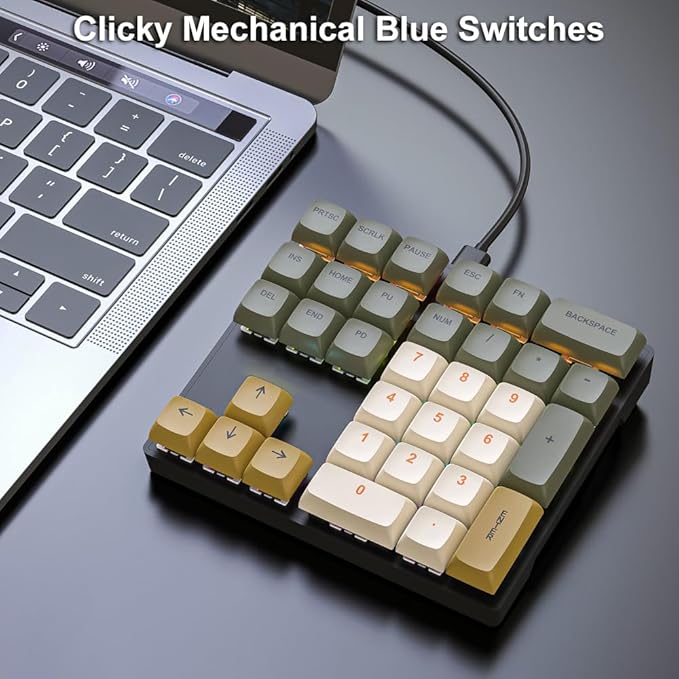 Mechanical Numpad Rainbow Backlit Clicky Blue Switches Wired USB Number Pad 33-Key NKRO Numeric Keypad with XDA PBT Keycaps External Keyboard Num Pad for Laptop, Mac - Brown Grey