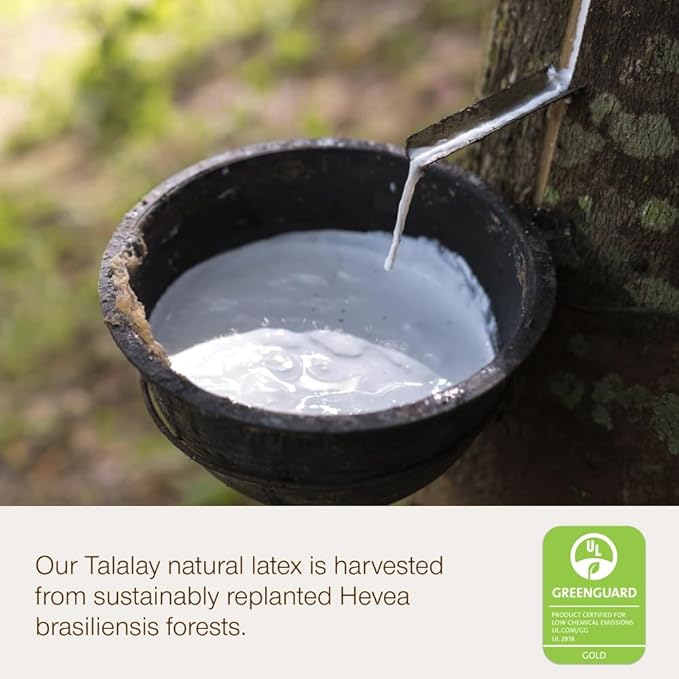 Coop Home Goods Adjustable Latex Pillow King, with Talalay Latex & Microfiber Fill, Best Pillows for Sleeping, Naturally Cooling, Eco-Friendly, Medium Firm Pillow for Back, Stomach or Side Sleepers