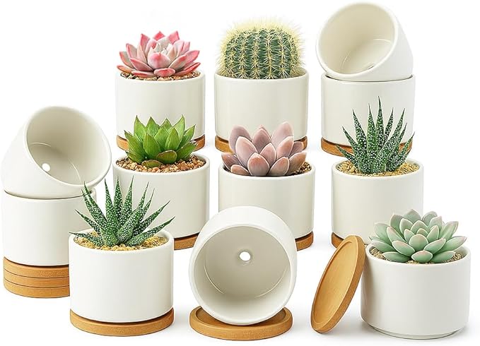 ZOUTOG 12 Pack Ceramic Succulent Pots,4 Inch Plant Pots,Succulent Planters with Drainage Hole & Bamboo Tray for Indoor Plants,White Small Flower Planters for Home,Office,Desk