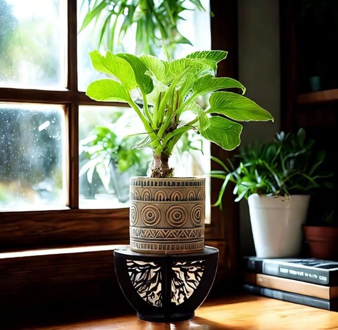 Indoor Wooden Plant Stand Holder for Sill, Desktop, - Single Flower Pot Rack for Small Plants - Unique Tree Root Design Elevate Your Plants in Style and Provide Additional Sunlight