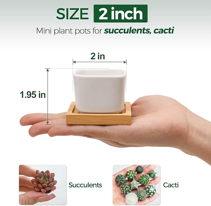 T4U 2 Inch Small White Succulent Planter Pots with Bamboo Tray Square Set of 2, Ceramic Flower Pots Cactus Air PlantContainers,Gardening Plant Gifts for Women, Modern Home and Office Decor