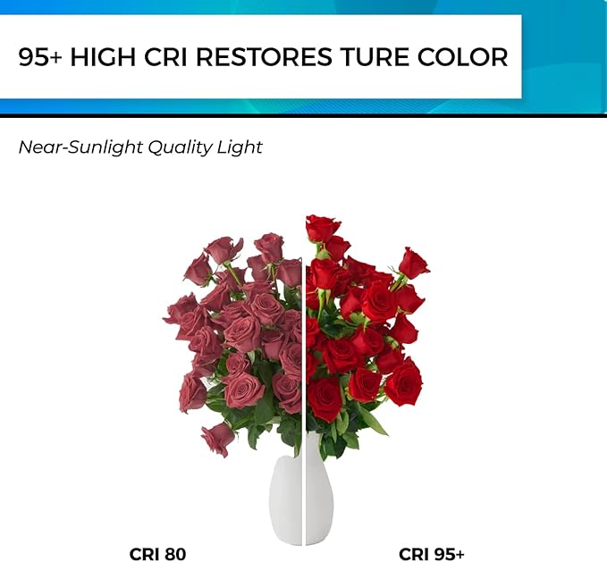 Hizashi Edison Bulbs 40 Watt Dimmable, 4000K Cool White E26 LED Bulb, ST58/ST19 Vintage Light Bulbs 95+CRI 4W 450lm, Clear Glass, UL Listed, Pack of 18