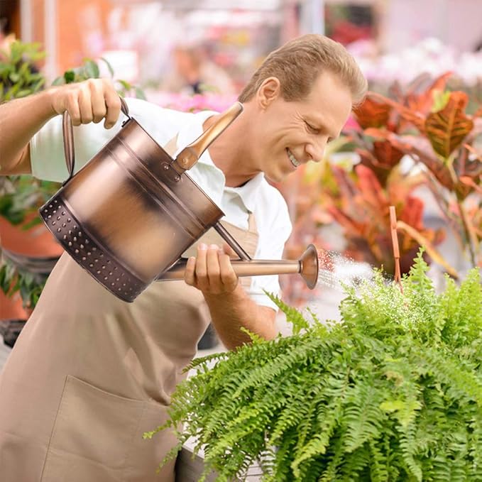 1 Gallon Metal Watering Can with Removable Spout, Nice Galvanized Steel Water Can with Embossed Design for Indoor and Outdoor Plants