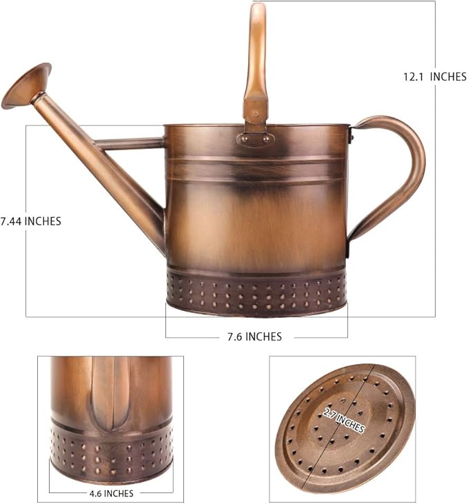 1 Gallon Metal Watering Can with Removable Spout, Nice Galvanized Steel Water Can with Embossed Design for Indoor and Outdoor Plants