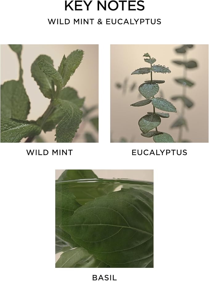 NEST New York Reed Diffuser, Wild Mint & Eucalyptus - 5.9 fl oz - Fragrance for Up to 90 Days - Reusable, Refillable Glass Holder - Includes 8 All-Natural Reed Sticks - Flame Free