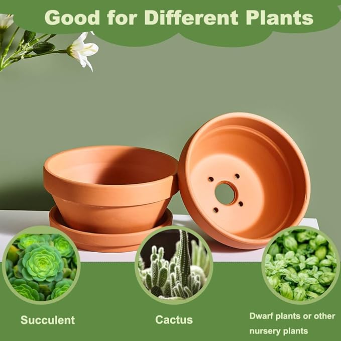 5 Inch Shallow Terracotta Pot for Succulent - 6 Pcs Small Shallow Plant Pots with Drainage Hole and Saucer, Clay Plant Pottery Pots for Cactus Succulent and Other Indoor Outdoor Plants