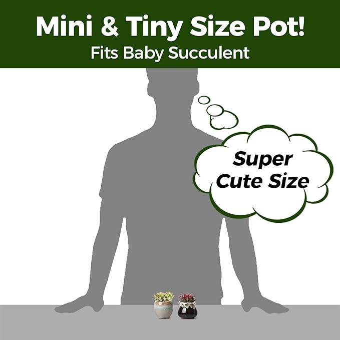 T4U Mini Ceramic Succulent Pots with Drainage - Set of 6, Tiny Pots for Plants, Home and Office Decor, Plant Lover Gifts for Women