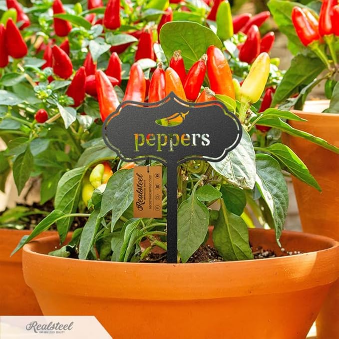 RealSteel - Seed & Plant Markers - Indoor/Outdoor Herb Garden Stakes - Elegant Fruit/Vegetable Seed Labels - Durable Plant Tags for Pots - Classy Design for Farmhouse/Greenhouse (Cilantro)