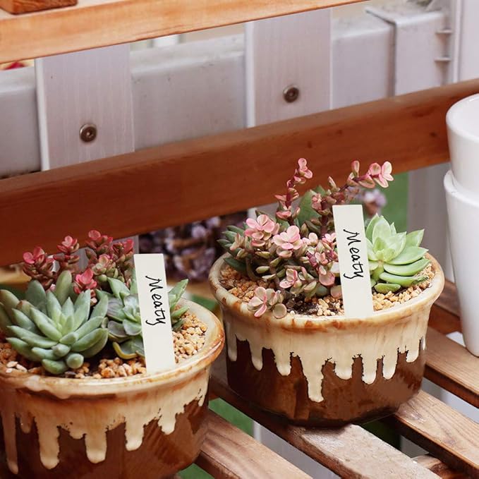 [Excellent] 100Pcs Plant Labels for Outdoor Garden, Plant Markers for Garden Waterproof, Plant Tags for Gardeners,White