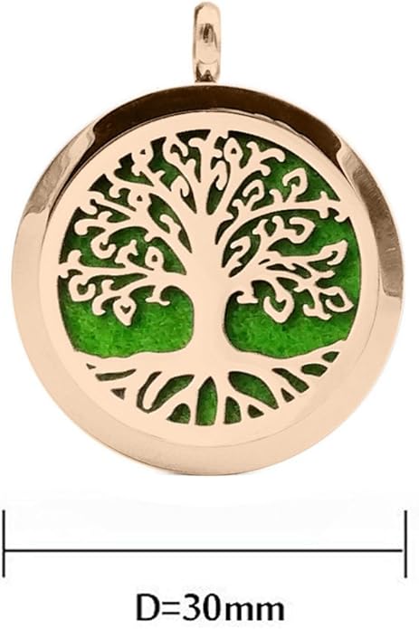 Aromatherapy Essential Oil Diffuser Necklace 316L Stainless Steel Locket Pendant with 24 Inch Chain