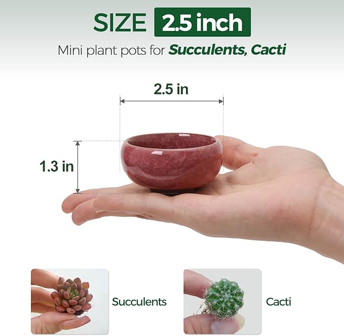 T4U 2.5 Inch Small Ceramic Succulent Planter Pot with Drainage Hole Set of 12, Ice Crack Glaze Plant Container for Cactus, Plant Lover Gifts for Women Mom Aunt Home Office Decor