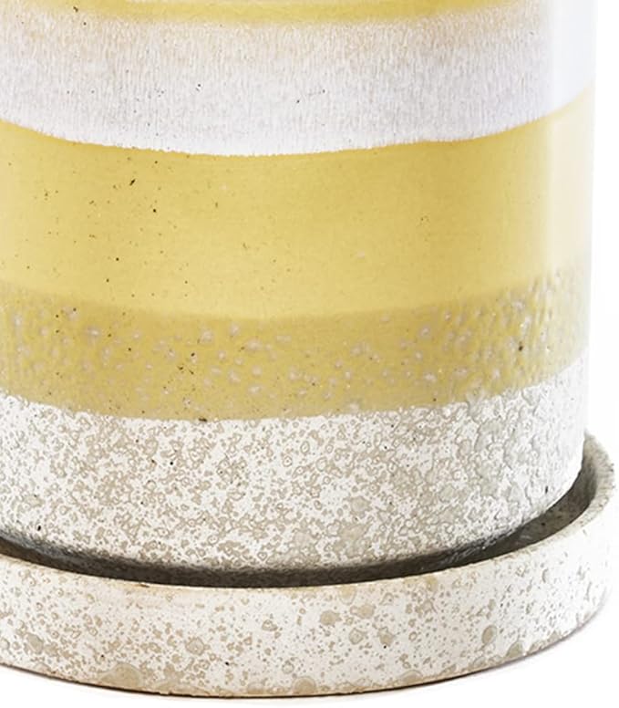 CHIVE - Minute, Succulent, Cactus Pot and Saucer Ceramic Flower and Plant Container with Drainage Hole and Detachable Saucer Great for Indoor/Outdoor Garden Decor (Yellow)