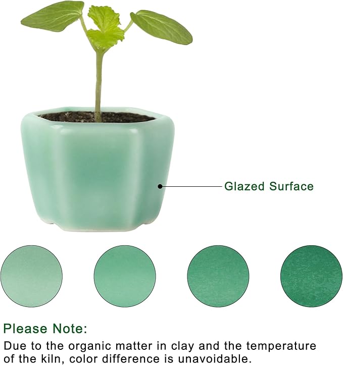 Bonsai Planter 1.8 inch (4.5cm) Mini Succulent Glazed Pots Set of 18 Green