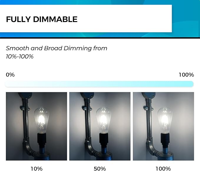 Hizashi Vintage LED Light Bulb Dimmable, 6W Equivalent 60W, 5000k Daylight, E26 Base Led Edison Bulbs, 700LM, High CRI 95+ Eye Protection, Clear Glass, Pack of 24