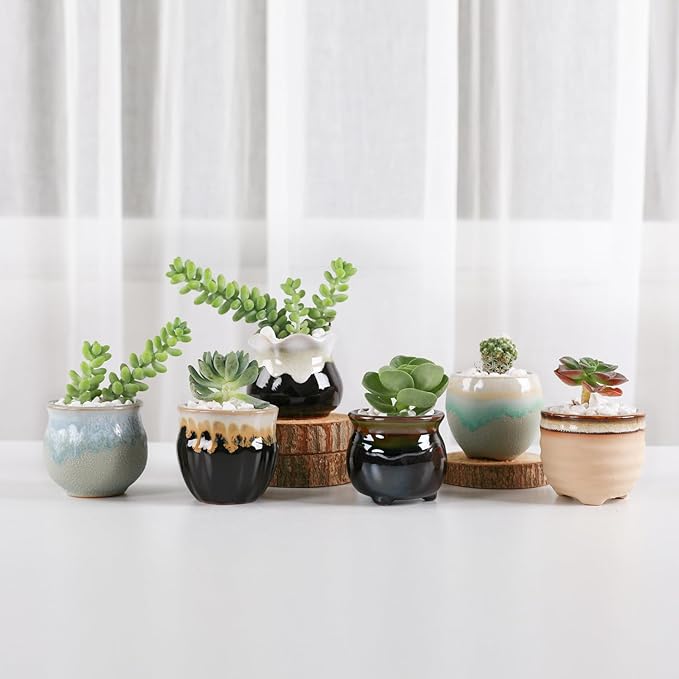 T4U Mini Ceramic Succulent Pots with Drainage - Set of 6, Tiny Pots for Plants, Home and Office Decor, Plant Lover Gifts for Women