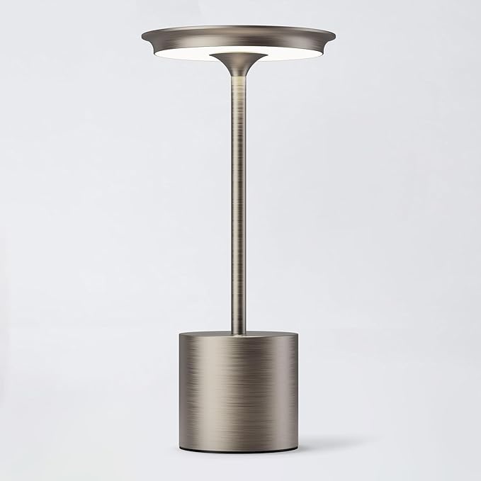 Cordless Table Lamp, Portable Rechargeable 6000mAh Outdoor Table Lamp, 3 Color Stepless Dimming Battery Powered Lamp, LED Table Light for Dinner/Bedroom/Restaurant/Outdoor (Silver)