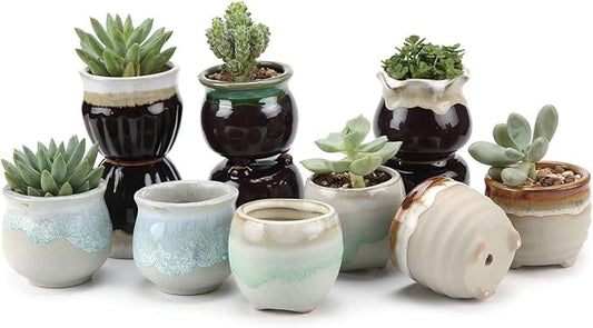 T4U Small Ceramic Succulent Pots with Drainage - Set of 12, Mini Pots for Plants, Home and Office Decor, Plant Lover Gifts for Women