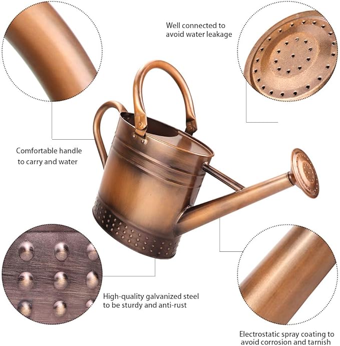 1 Gallon Metal Watering Can with Removable Spout, Nice Galvanized Steel Water Can with Embossed Design for Indoor and Outdoor Plants