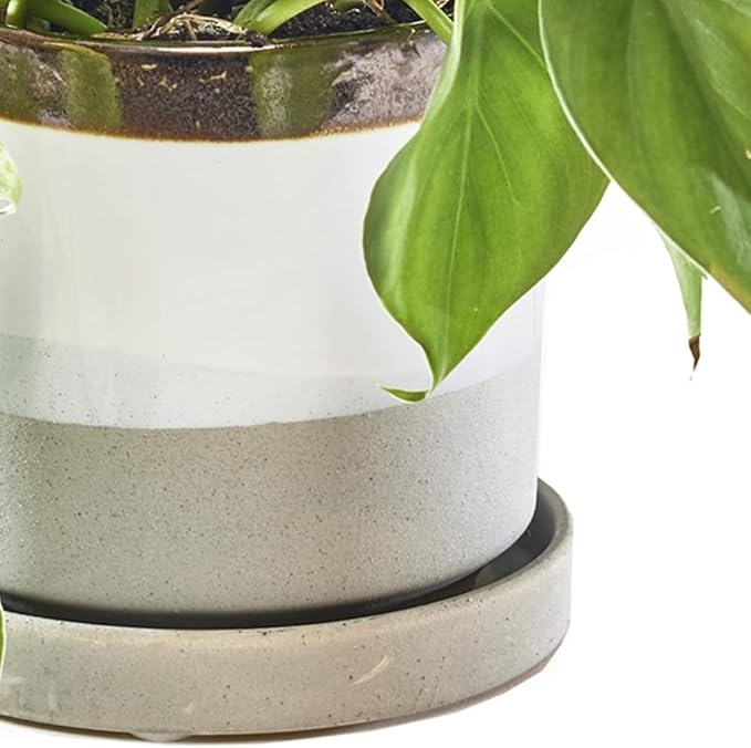 CHIVE ‘Minute’ Ceramic Planter Pot — Cute 5” Colorful Succulent Pots for Indoor & Outdoor House Plants — Beautiful Modern Farmhouse Kitchen Decor — Mocha Cement