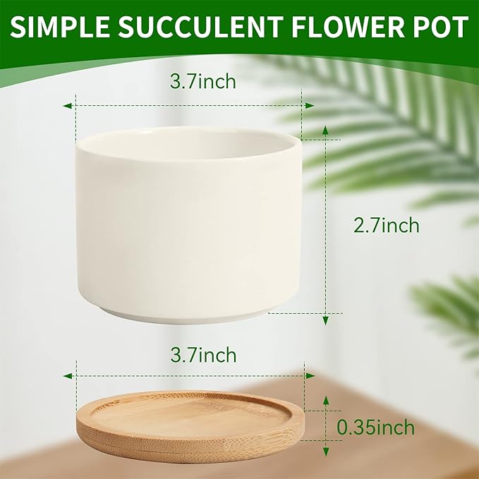 ZOUTOG Ceramic Succulent Pots,4 Inch Plant Pots,Succulent Planters with Drainage Hole & Bamboo Tray for Indoor Plants,White Small Flower Planters for Home,Office,Desk(6 Pack)