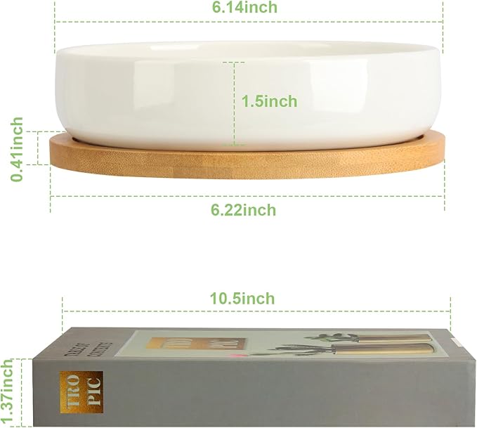 ZOUTOG Succulent Pots,6 Inch Succulent Planters with Drainage and Tray,White Ceramic Planters for Indoor Plants,Round Shallow Flower Plant Pots,6 Pack