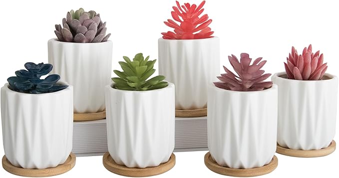 ARTKETTY Succulent Pots - 3.15 Inch White Small Plant Pots with Drainage Tray Ceramic Pots for Indoor Plants, Pack of 6 - Cactus Flower Pots Birthday Gifts for Women