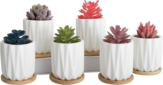 ARTKETTY Succulent Pots - 3.15 Inch White Small Plant Pots with Drainage Tray Ceramic Pots for Indoor Plants, Pack of 6 - Cactus Flower Pots Birthday Gifts for Women